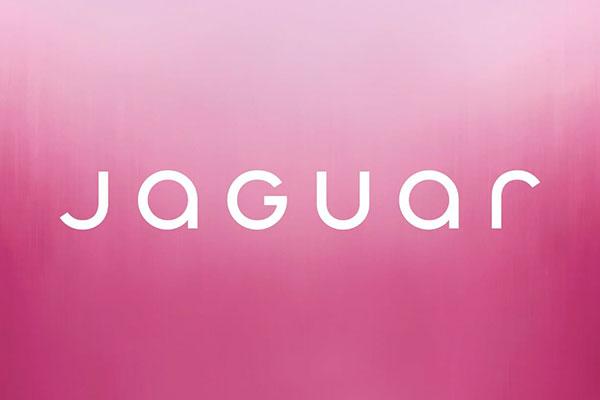 At last: Jaguar reveals first details of new brand identity